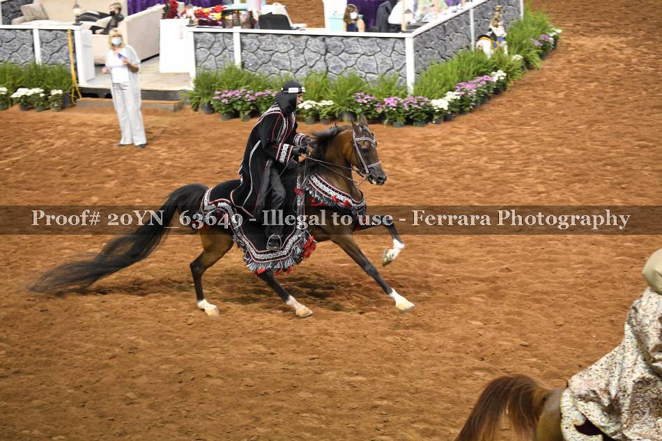 Proof 20YN_63649