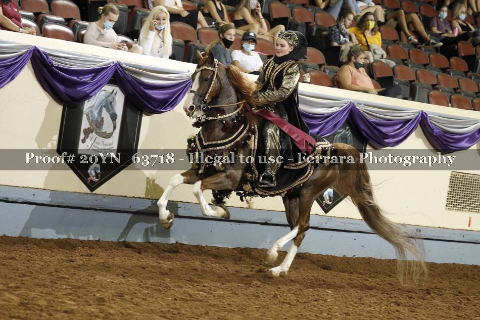Proof 20YN_63718