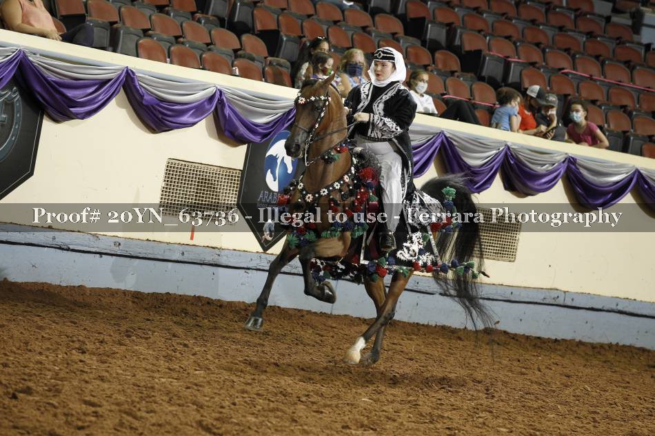 Proof 20YN_63736