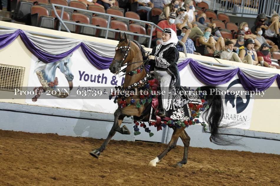Proof 20YN_63739