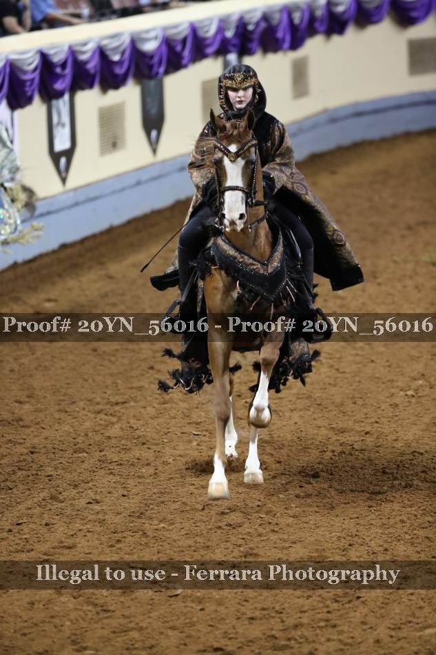 Proof 20YN_56016
