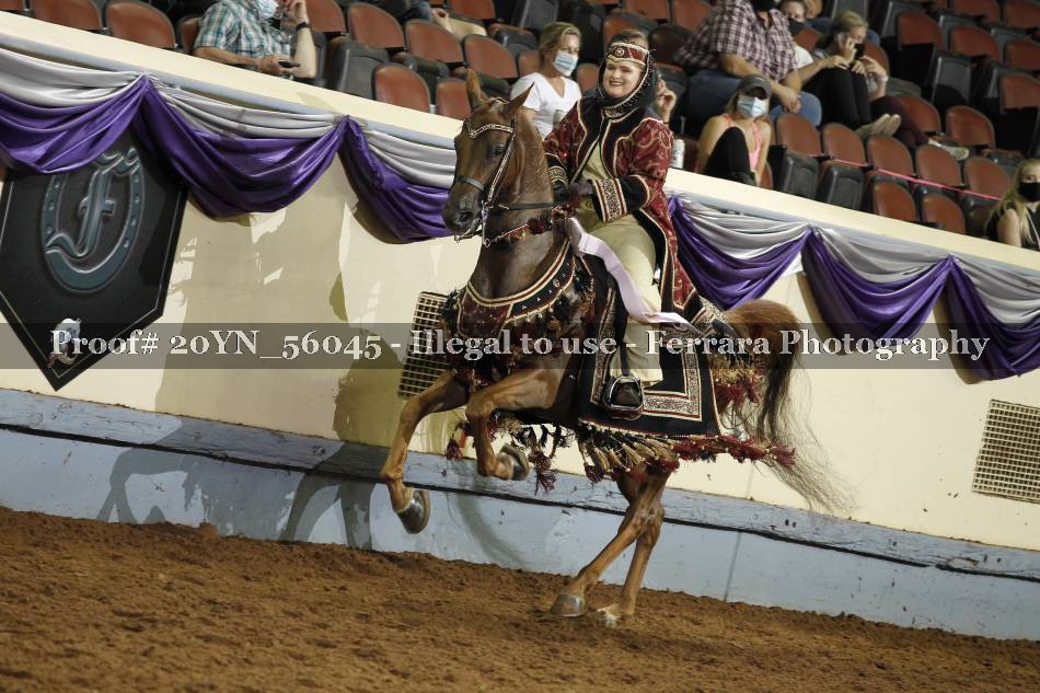 Proof 20YN_56045