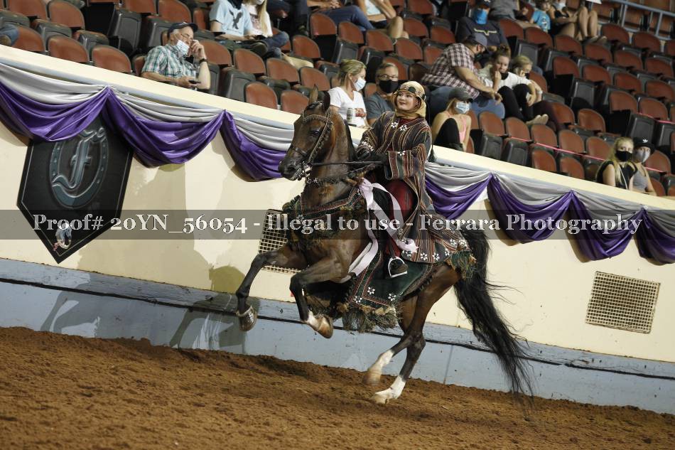 Proof 20YN_56054
