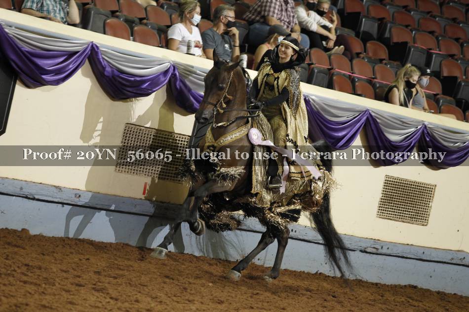 Proof 20YN_56065