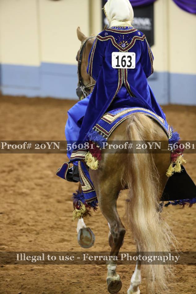 Proof 20YN_56081