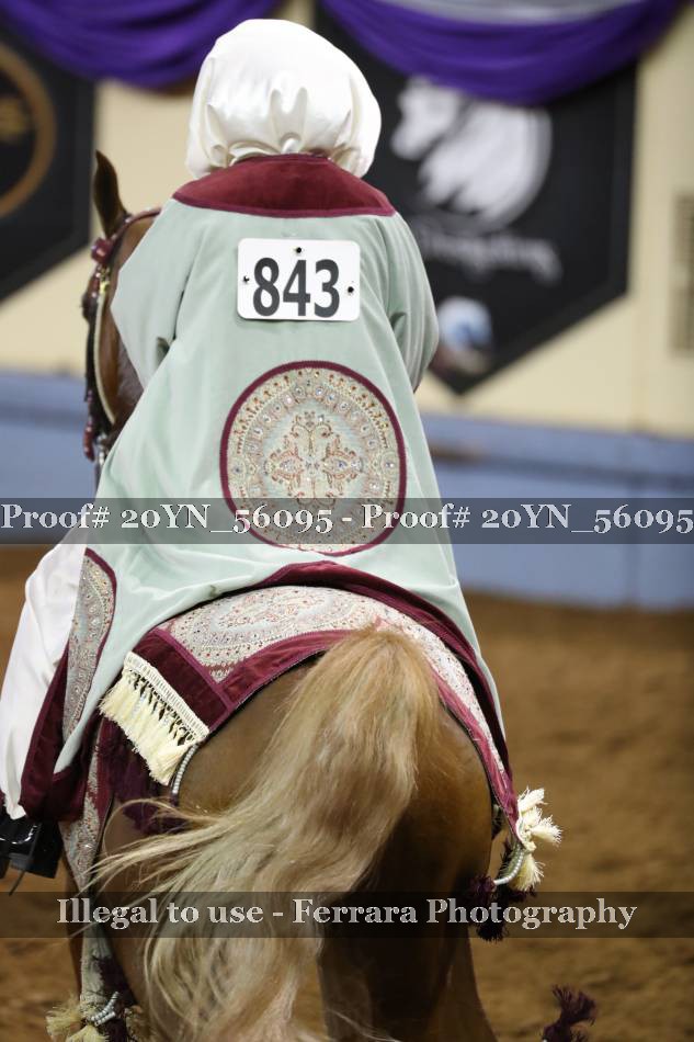 Proof 20YN_56095