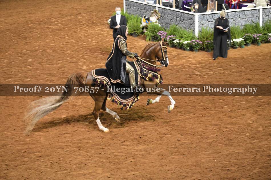 Proof 20YN_70857