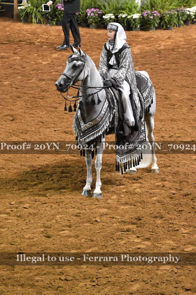 Proof 20YN_70924