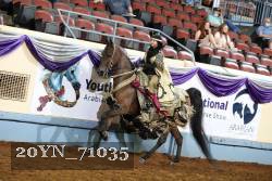20YN_71035 proof