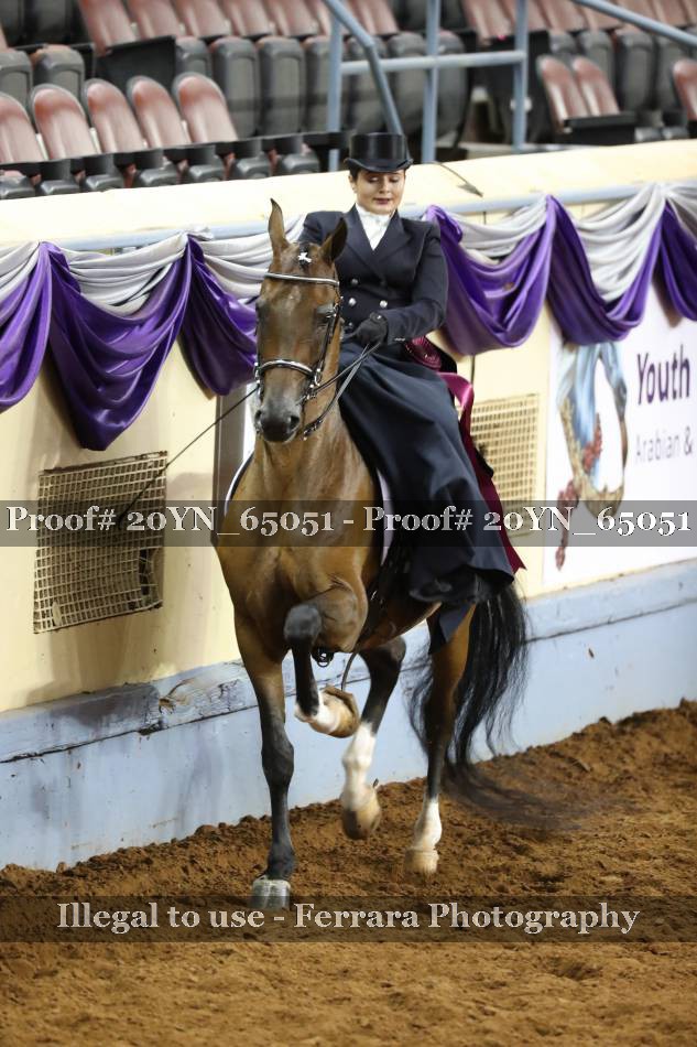 Proof 20YN_65051