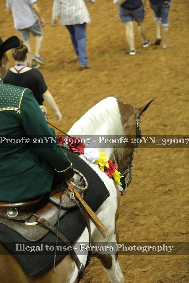 Proof 20YN_39007