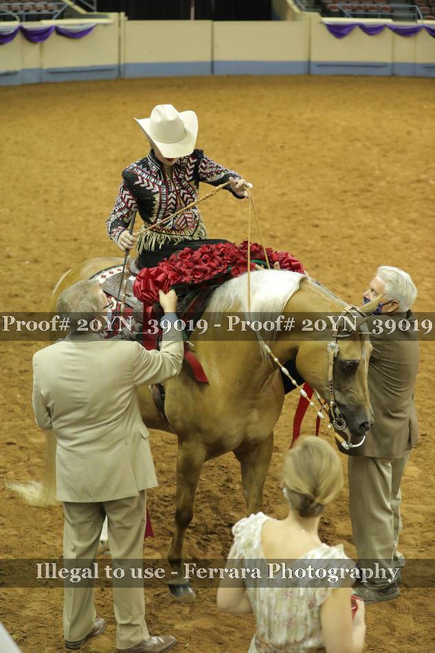 Proof 20YN_39019