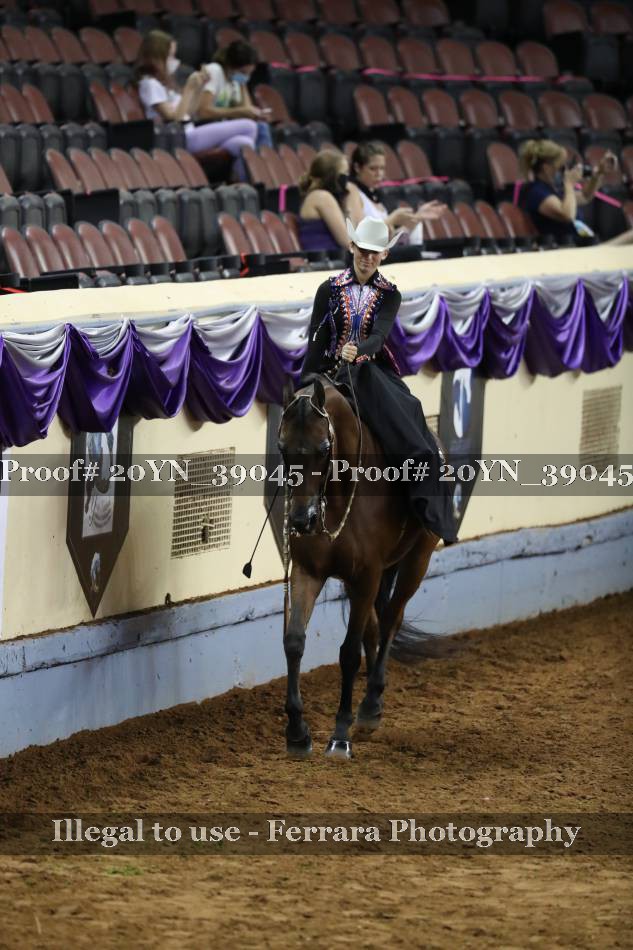 Proof 20YN_39045