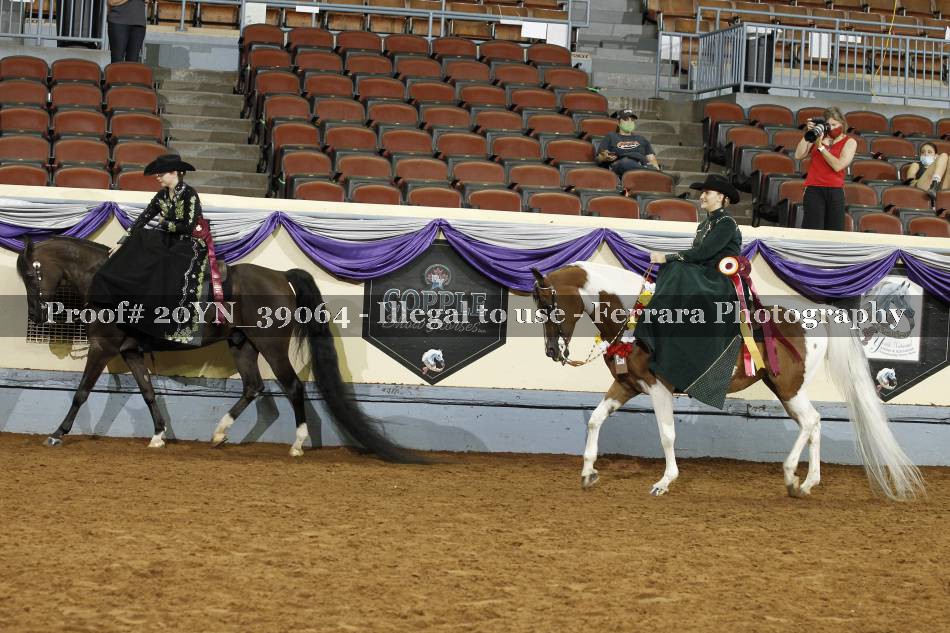Proof 20YN_39064