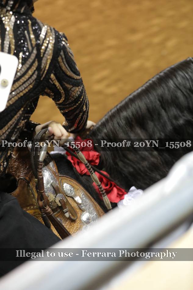 Proof 20YN_15508