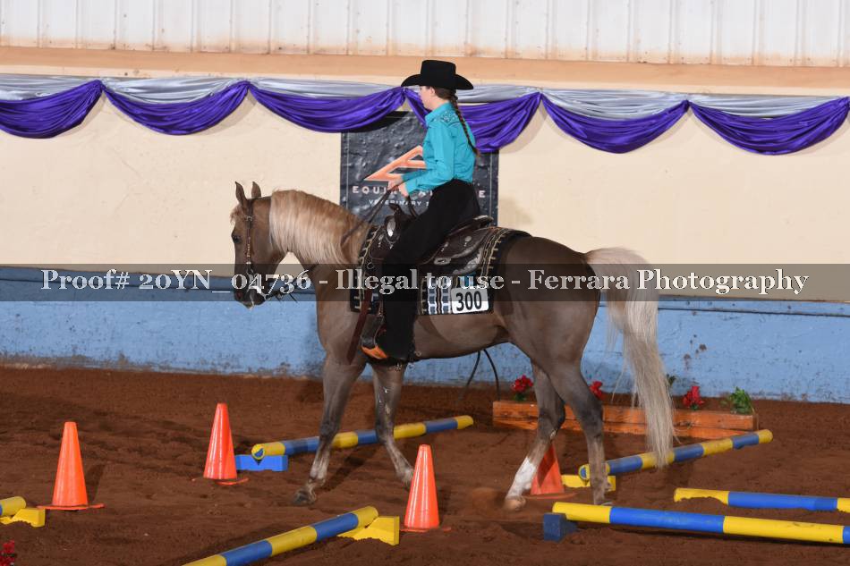 Proof 20YN_04736