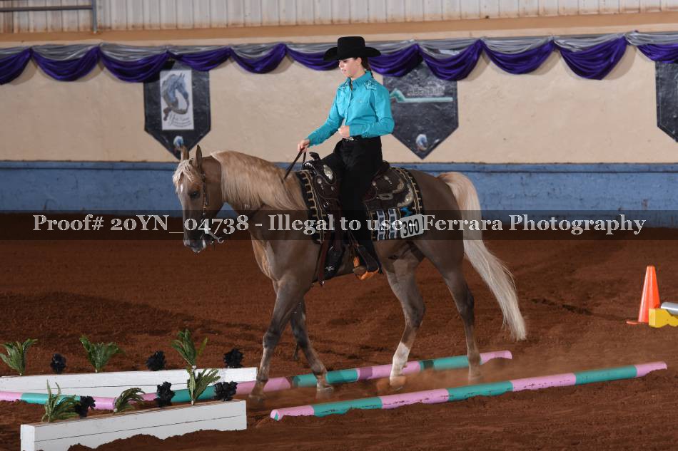 Proof 20YN_04738