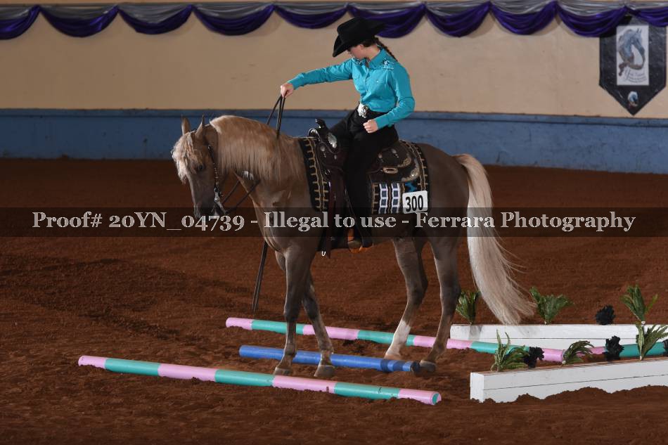 Proof 20YN_04739