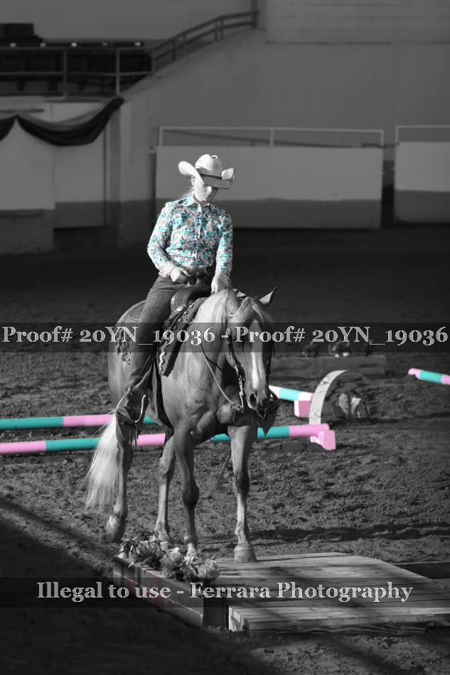 Proof 20YN_19036