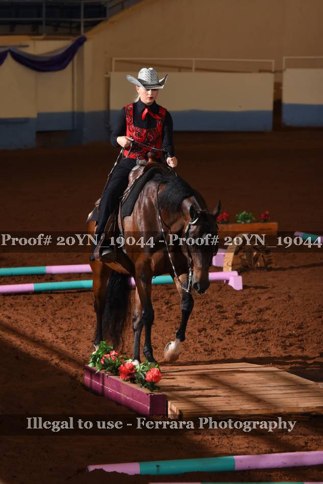 Proof 20YN_19044