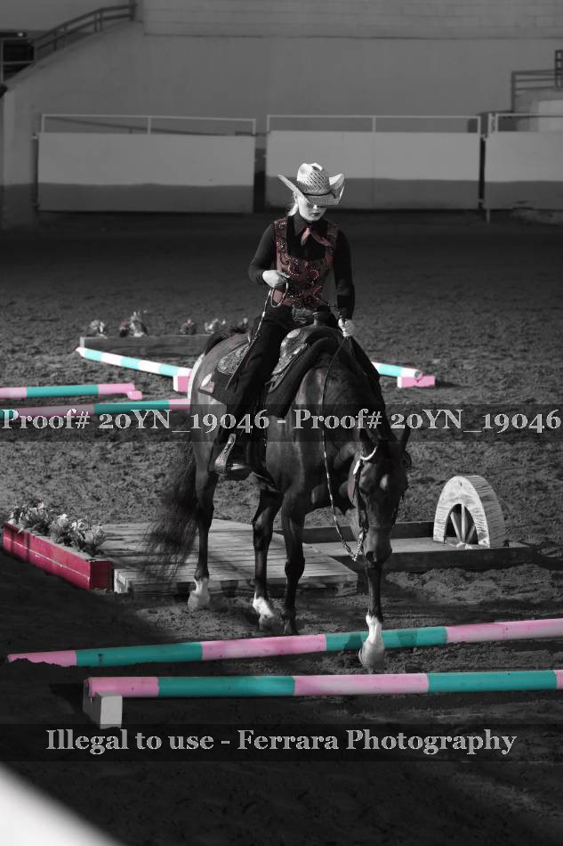 Proof 20YN_19046