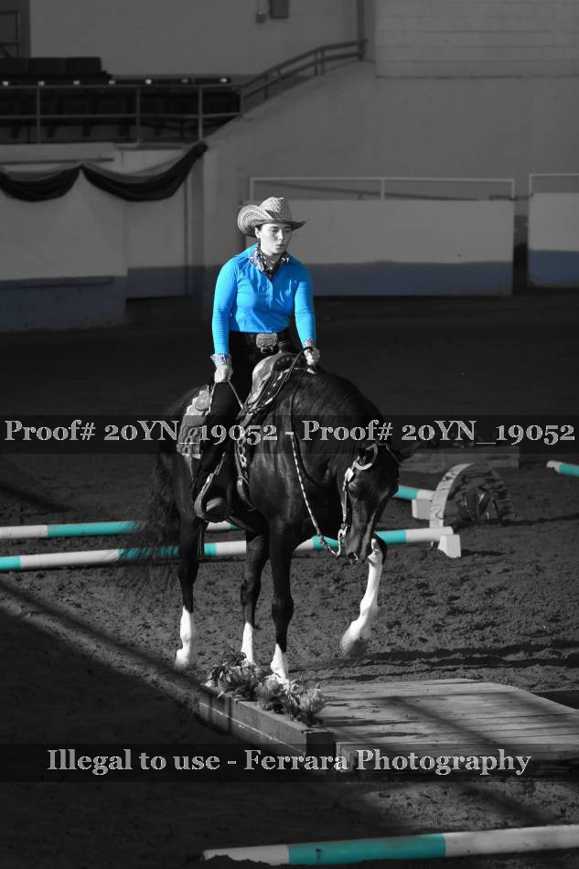 Proof 20YN_19052