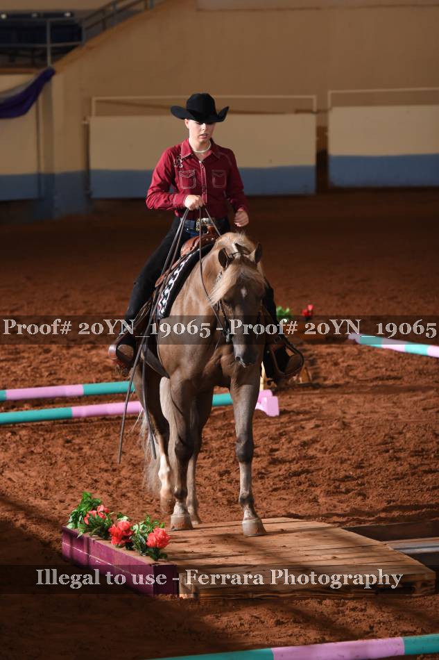 Proof 20YN_19065