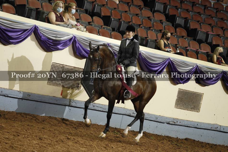 Proof 20YN_67386