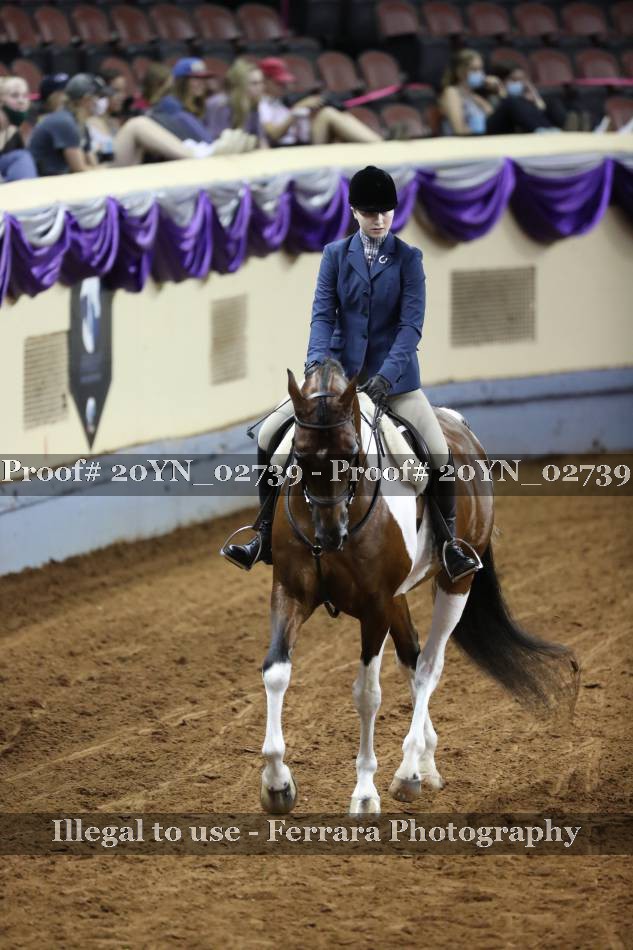 Proof 20YN_02739