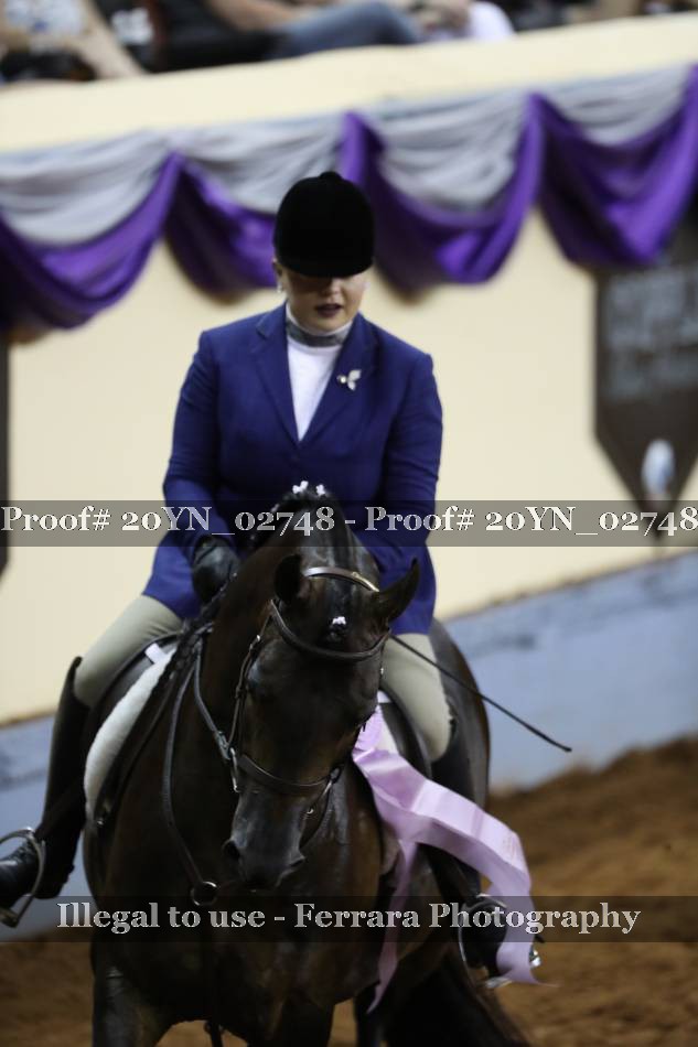 Proof 20YN_02748