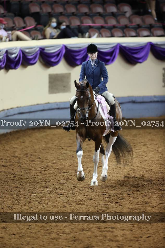 Proof 20YN_02754