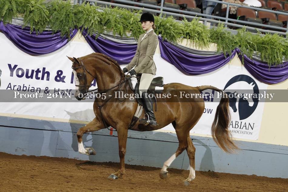 Proof 20YN_02805