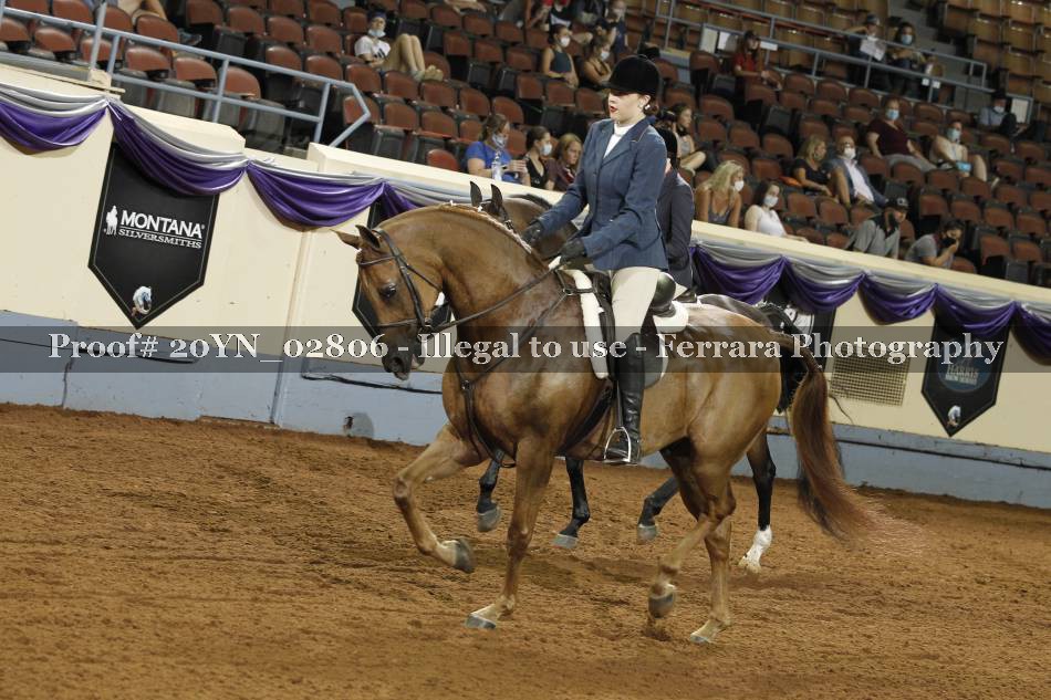 Proof 20YN_02806