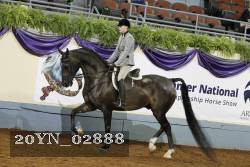 20YN_02888 proof