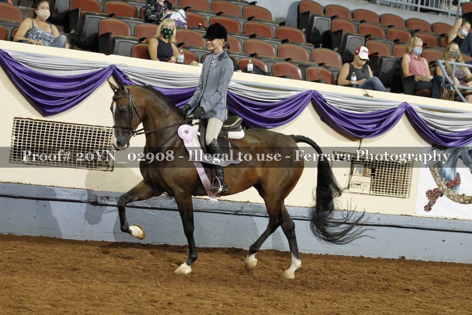 Proof 20YN_02908