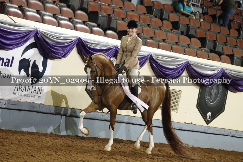 Proof 20YN_02909