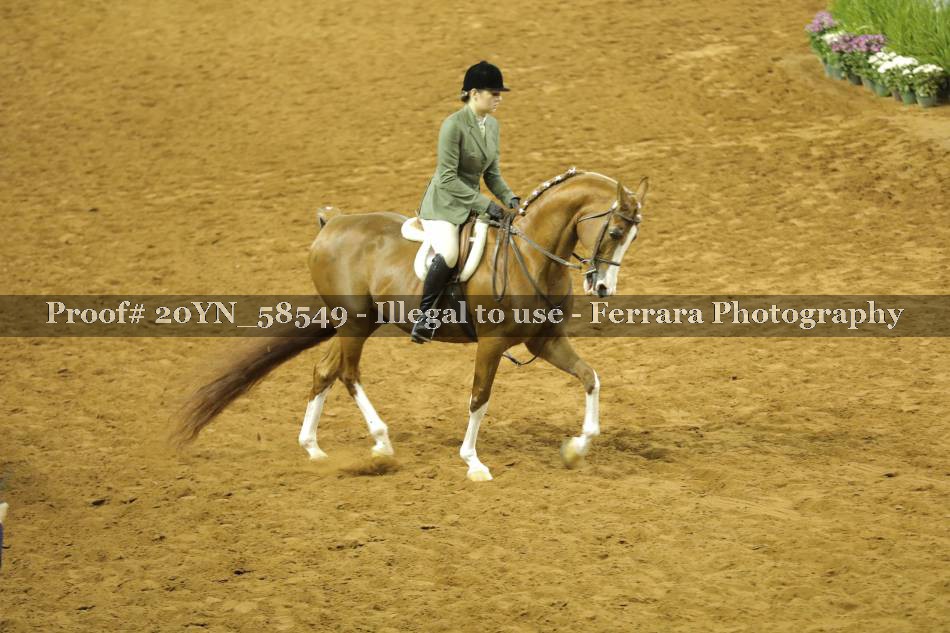 Proof 20YN_58549