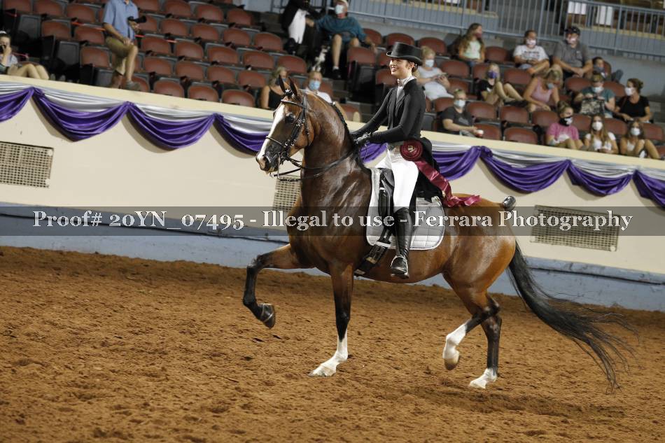 Proof 20YN_07495