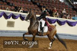 20YN_07496 proof
