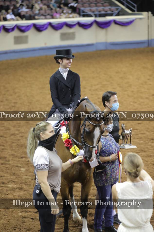 Proof 20YN_07509