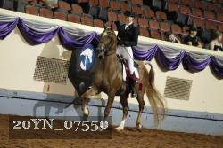 20YN_07550 proof