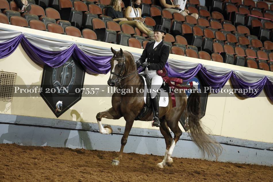 Proof 20YN_07557