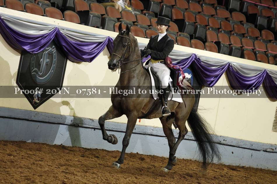 Proof 20YN_07581