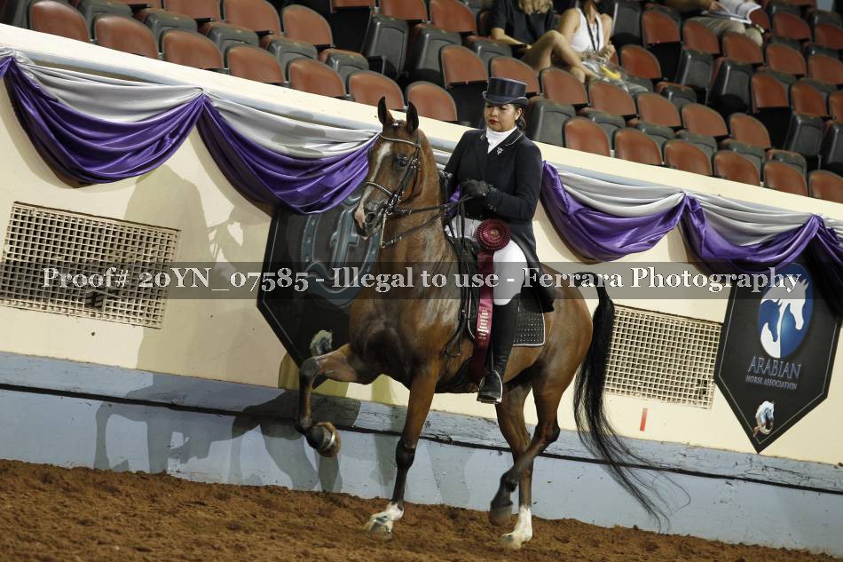Proof 20YN_07585