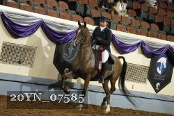 20YN_07585 proof
