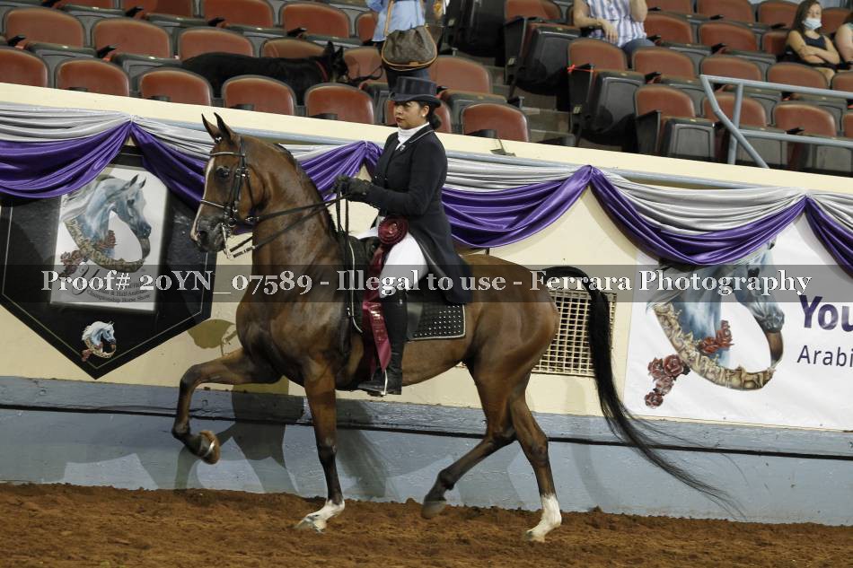 Proof 20YN_07589
