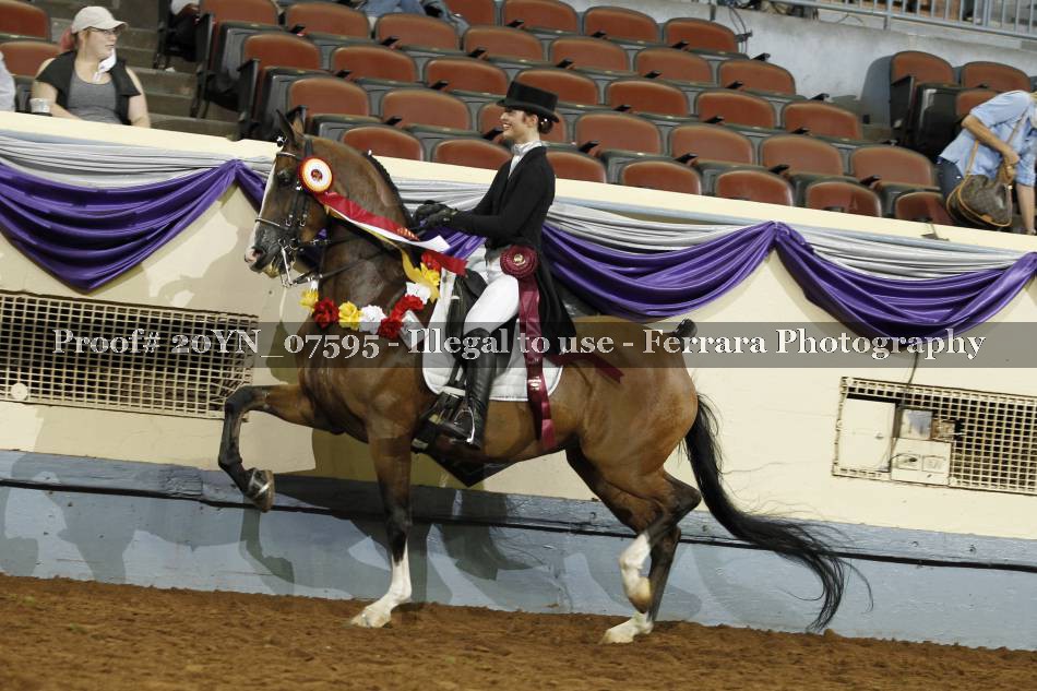 Proof 20YN_07595