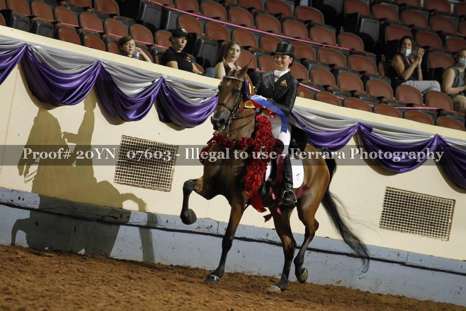 Proof 20YN_07603