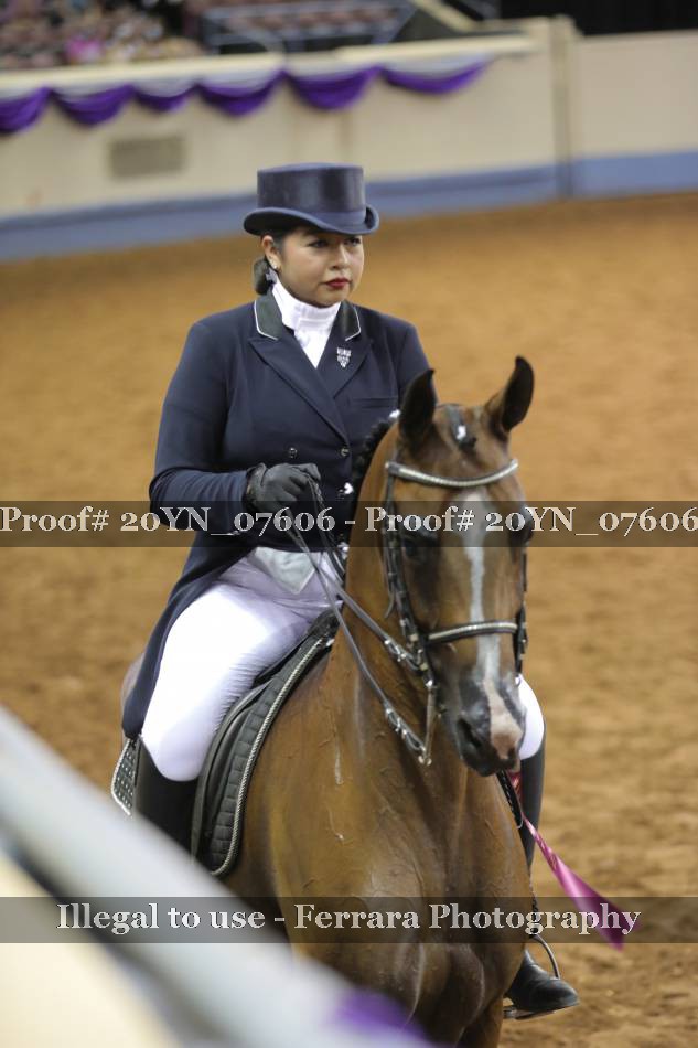Proof 20YN_07606
