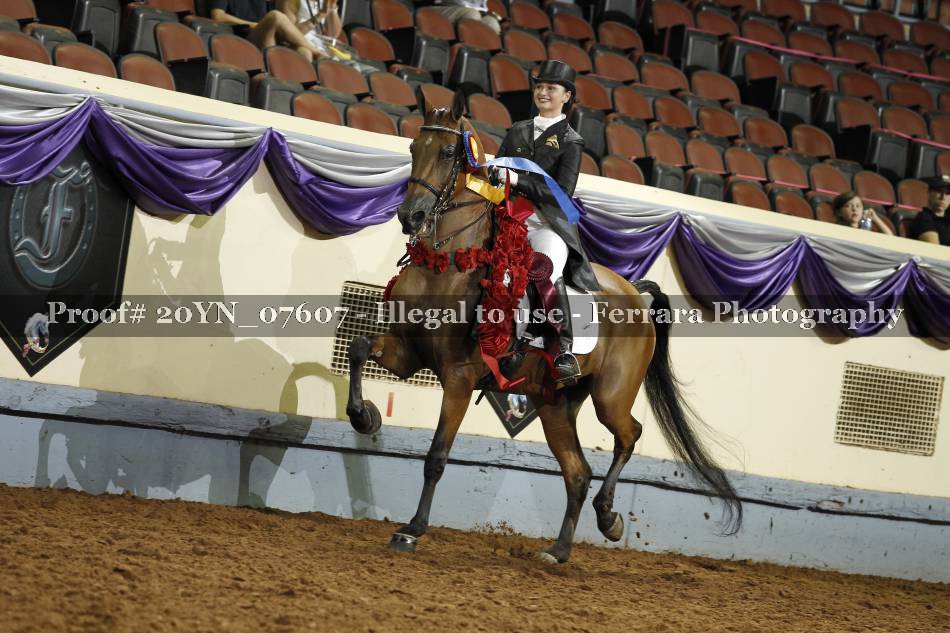 Proof 20YN_07607